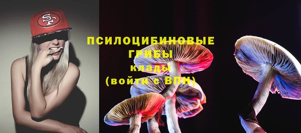 стафф Алзамай