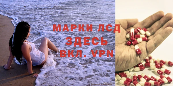 стафф Алзамай