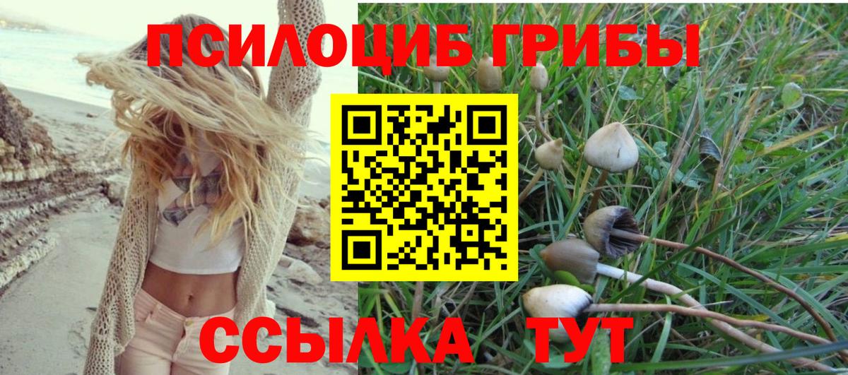 Галлюциногенные грибы Psilocybe  Вход с VPN  Псилоцибиновые грибы Psilocybe  продажа наркотиков  Крымск 